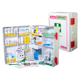 National Workplace ABS Wall Mounted First Aid Kit