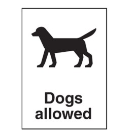 Dogs Allowed