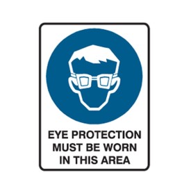 Eye Protectection Must Be Worn