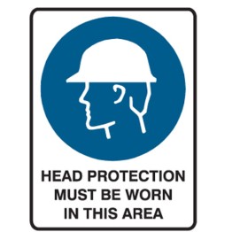 Head Protection Must Be Worn In This Area