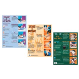 First Aid Treatment Posters