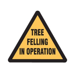 Tree Felling In Operation