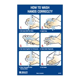 Instructional Hand Wash Poster