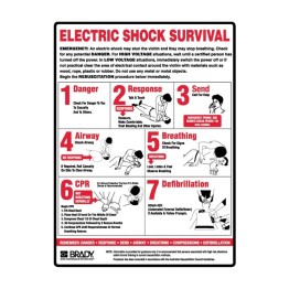 Electric Shock Survival Signs