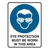 Eye Protection Must Be Worn in This Area Labels 55x90 SAV Pk5
