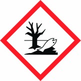 GHS Environment Pictogram