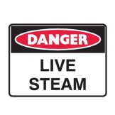 Live Steam