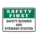 Safety Shower And Eyewash Station