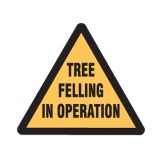 Tree Felling In Operation