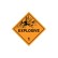 Dangerous Goods Labels & Placards - Explosive 1