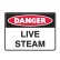 Live Steam